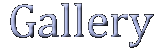 Biography